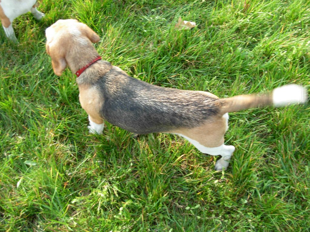 Teo 